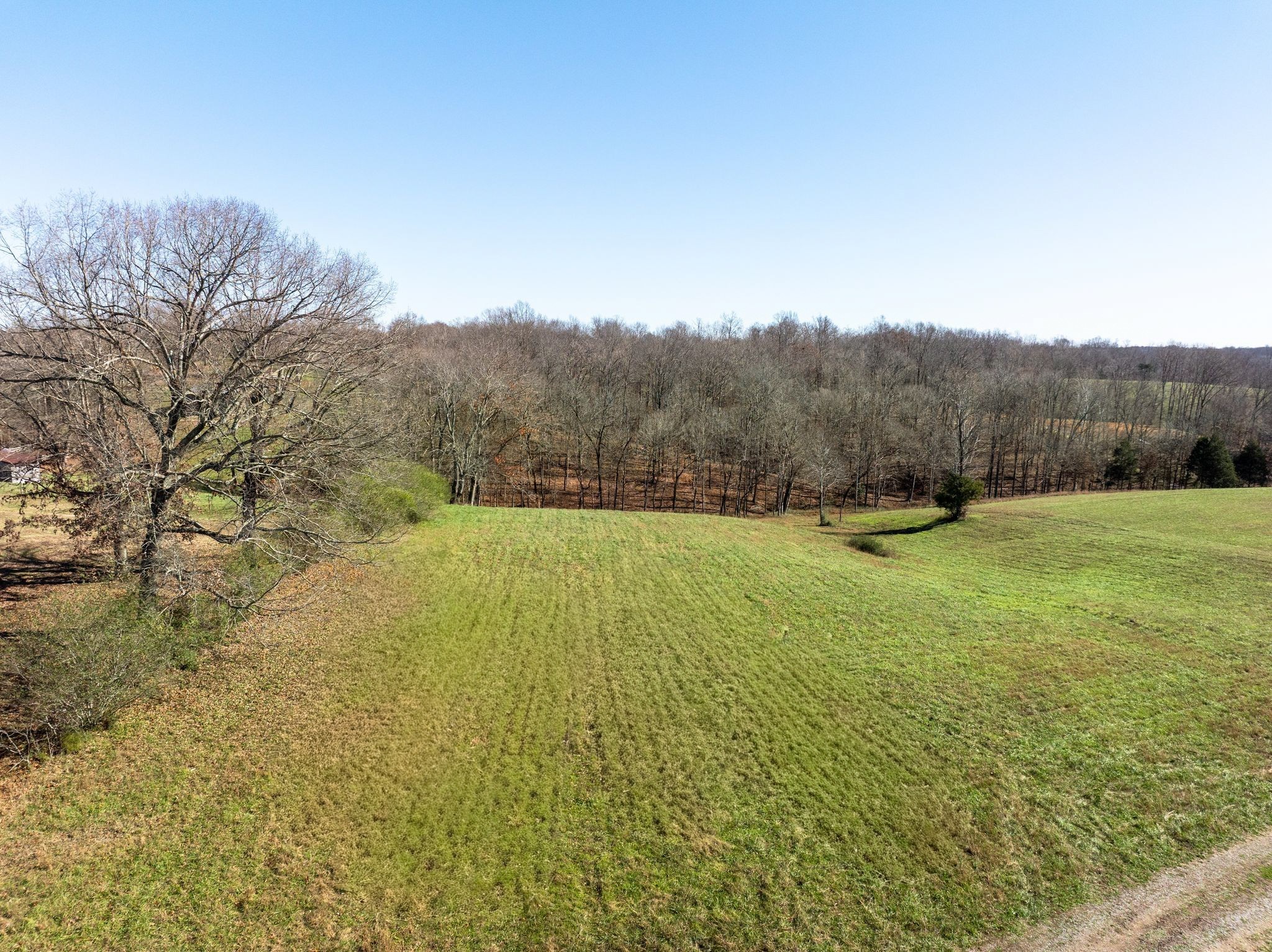 1087 Cowan Road Dickson TN 37055