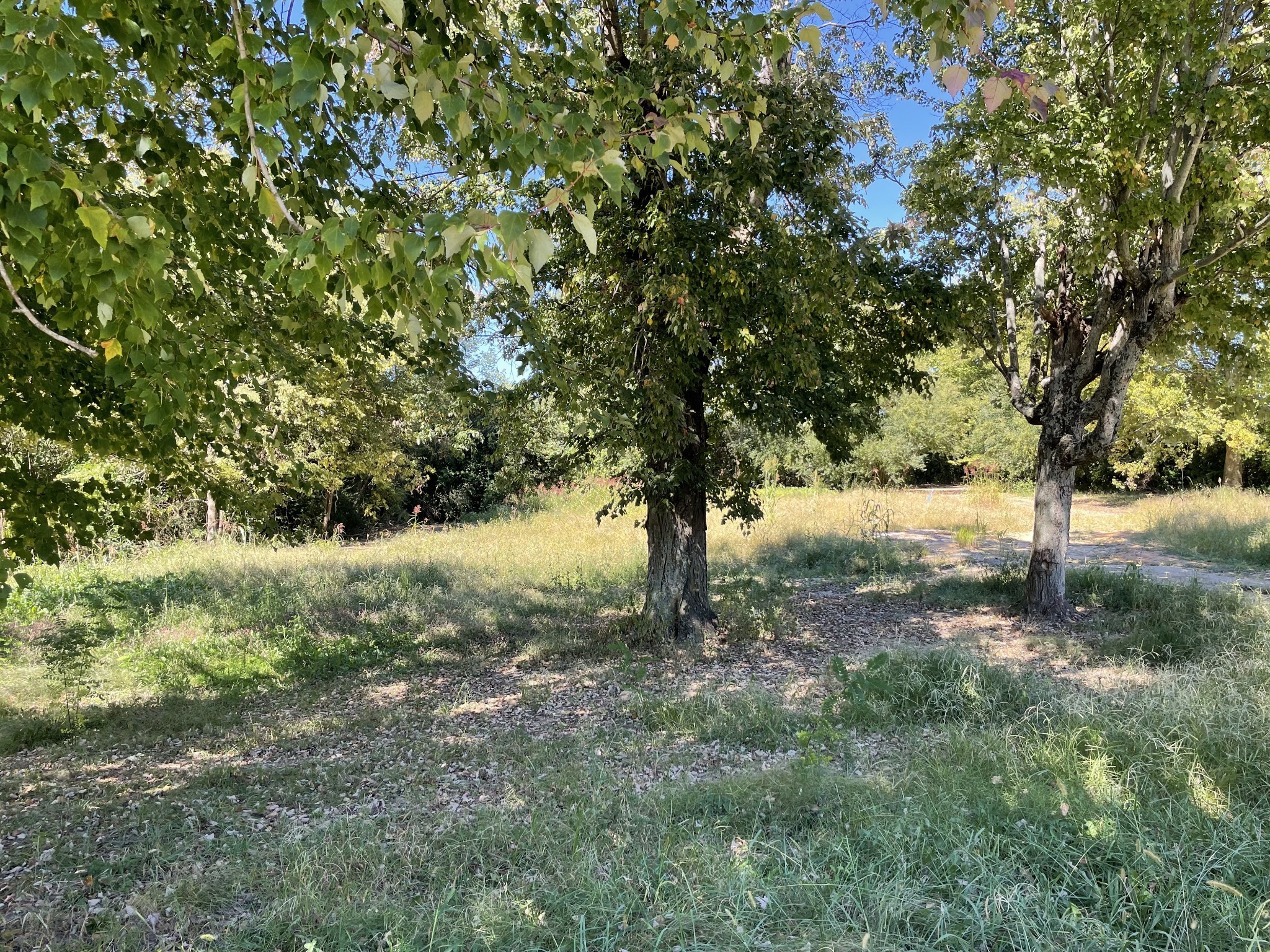 5723 Highway 100 Lyles TN 37098