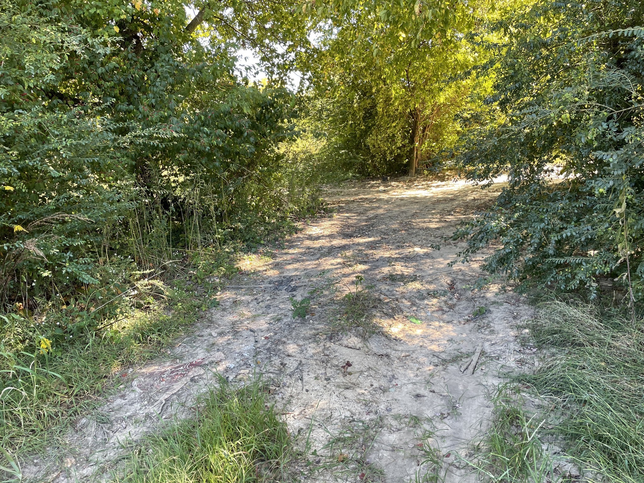5723 Highway 100 Lyles TN 37098