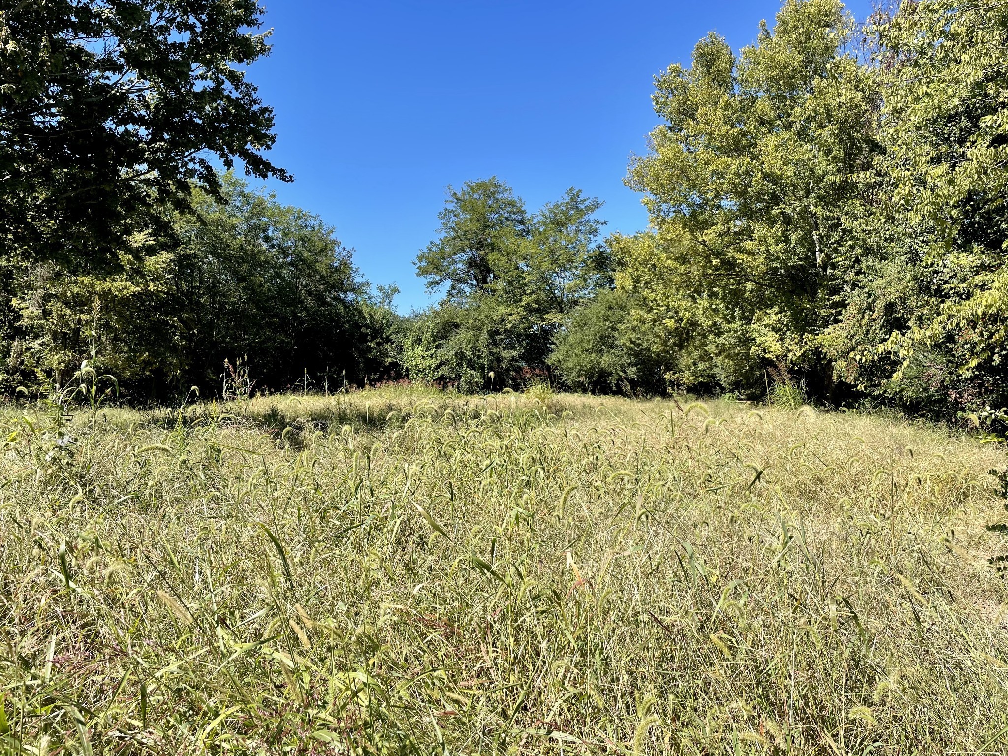 5723 Highway 100 Lyles TN 37098