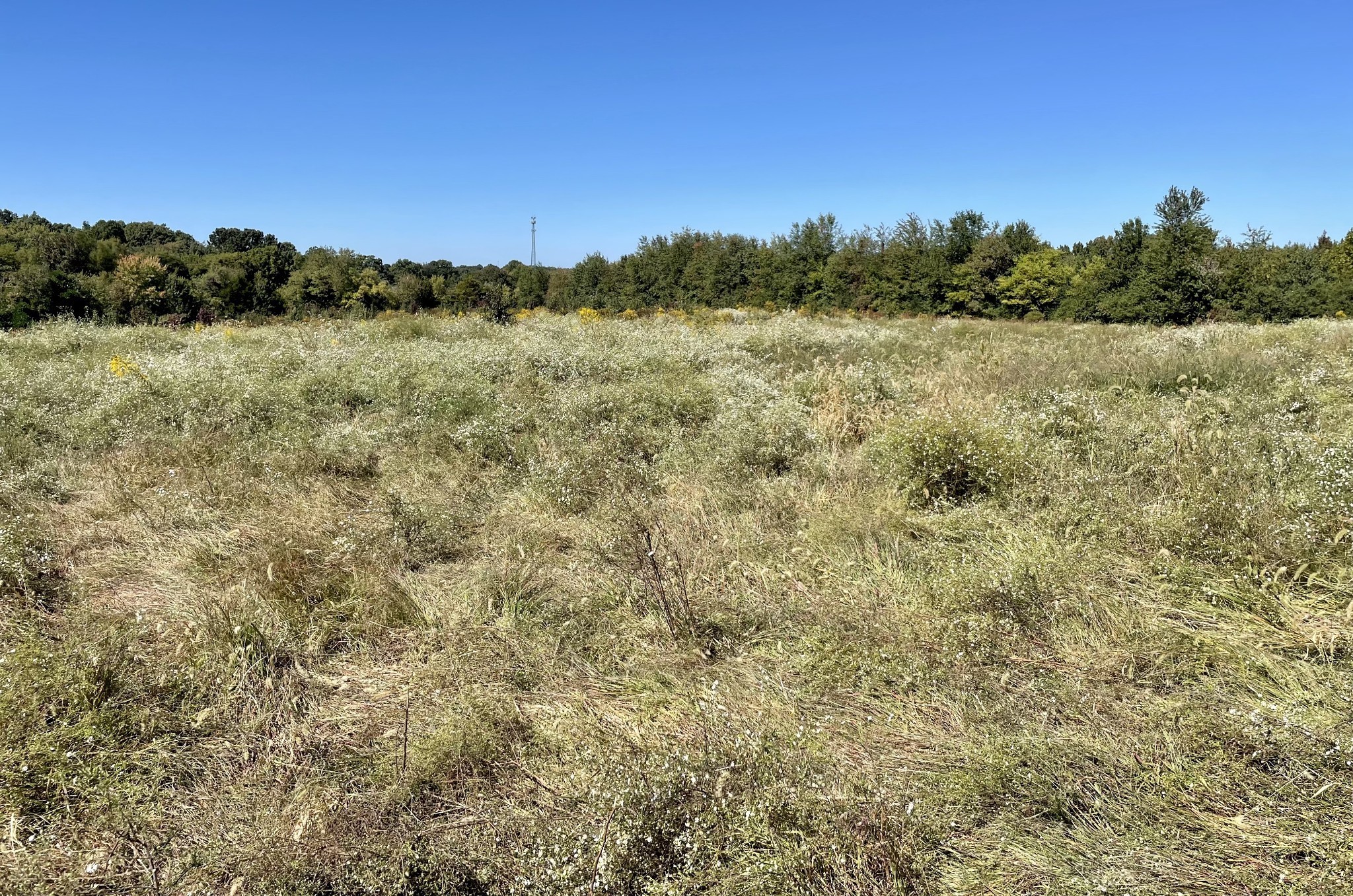 5723 Highway 100 Lyles TN 37098