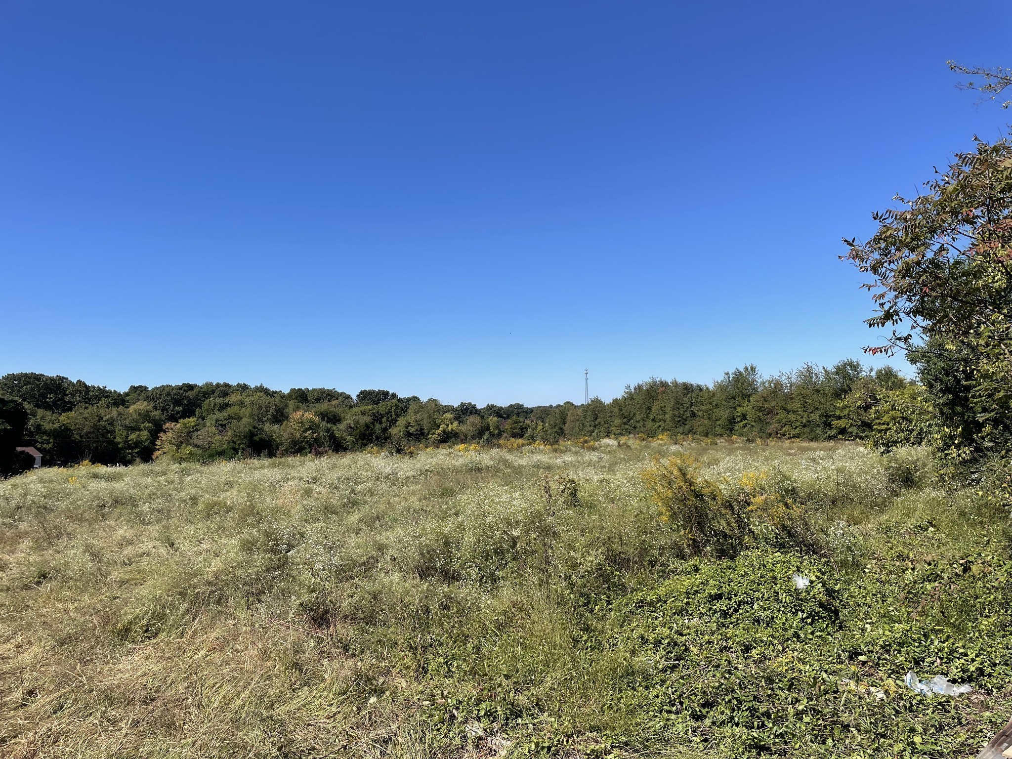 5723 Highway 100 Lyles TN 37098