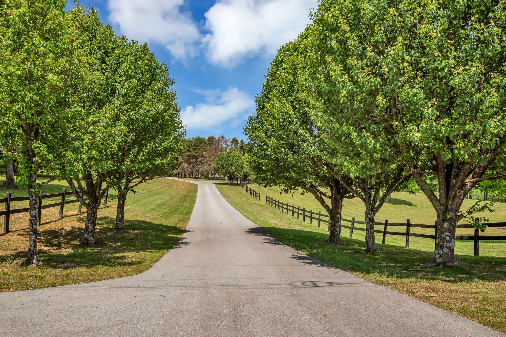 5129 Highway 70, E White Bluff TN 37187