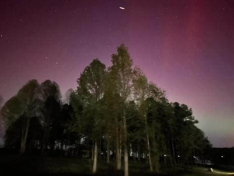 1130 Sunset Circle Jasper TN 37347