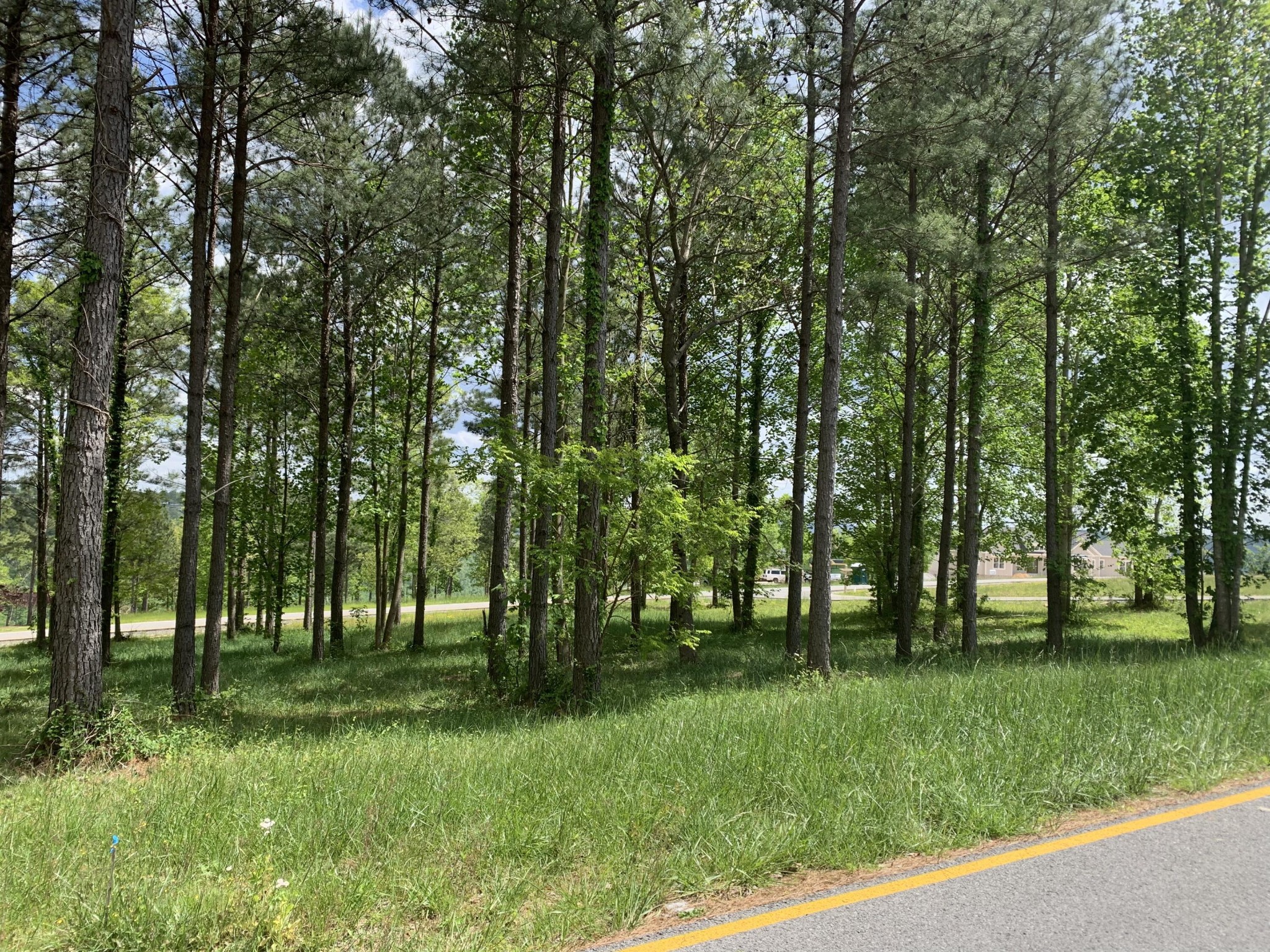 1130 Sunset Circle Jasper TN 37347