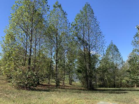 1130 Sunset Circle Jasper TN 37347