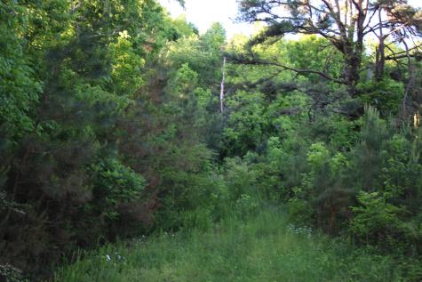 0 Savannah Highway Waynesboro TN 38485