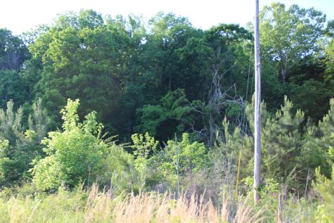 0 Savannah Highway Waynesboro TN 38485