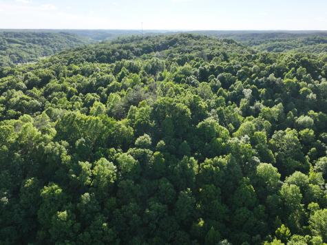 0 Savannah Highway Waynesboro TN 38485