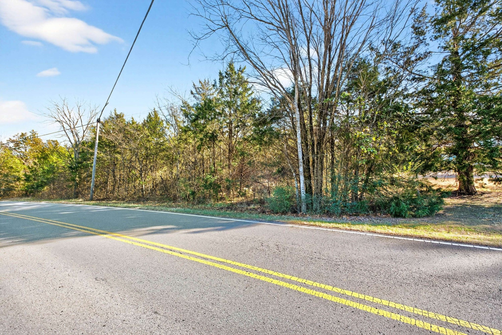 9877 Sam Donald Road Nolensville TN 37135