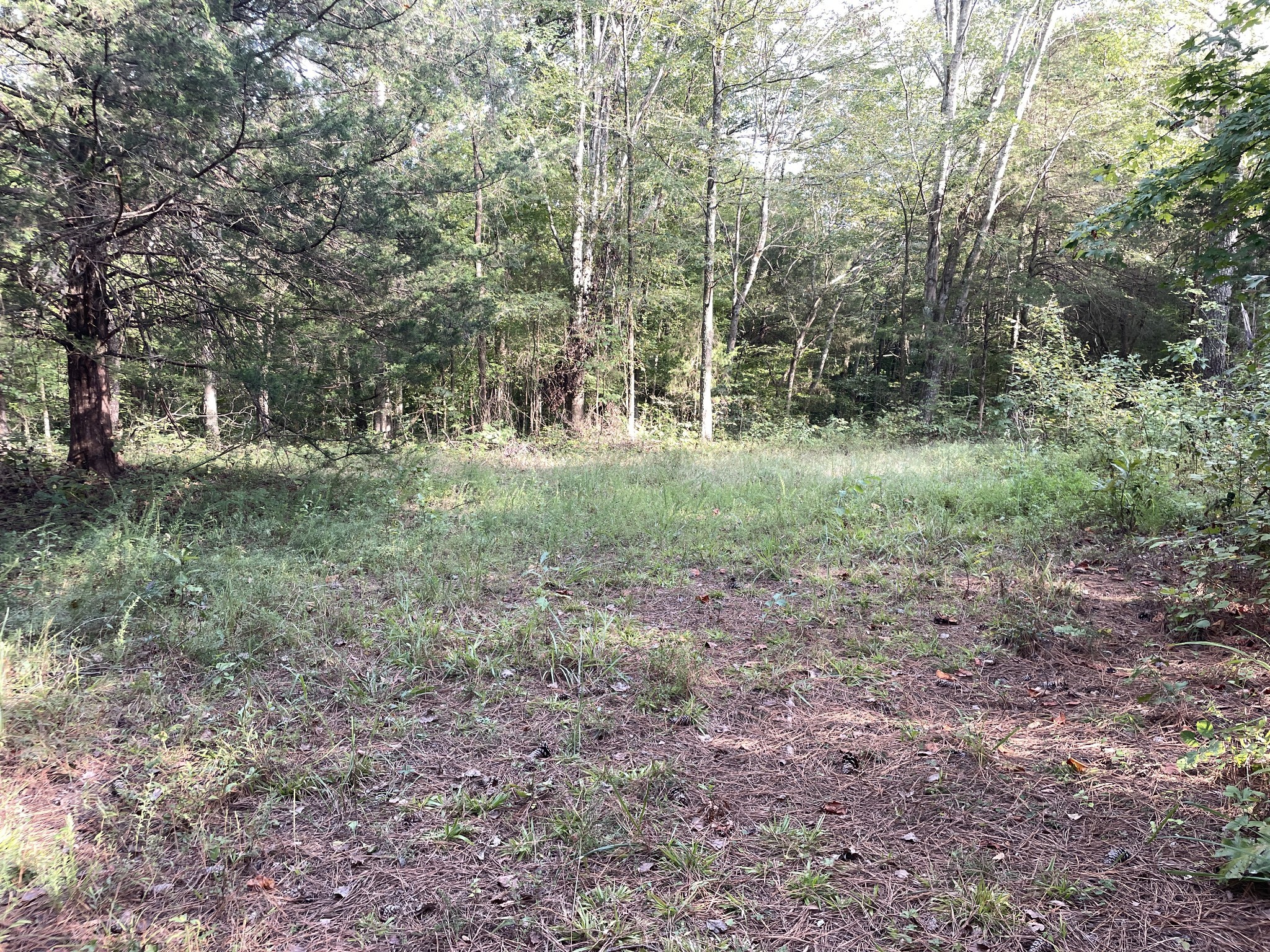 0 Waters Road Centerville TN 37033
