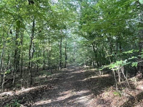0 Waters Road Centerville TN 37033
