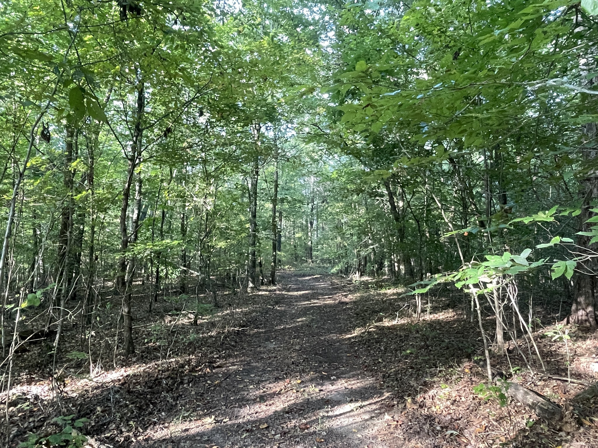 0 Waters Road Centerville TN 37033