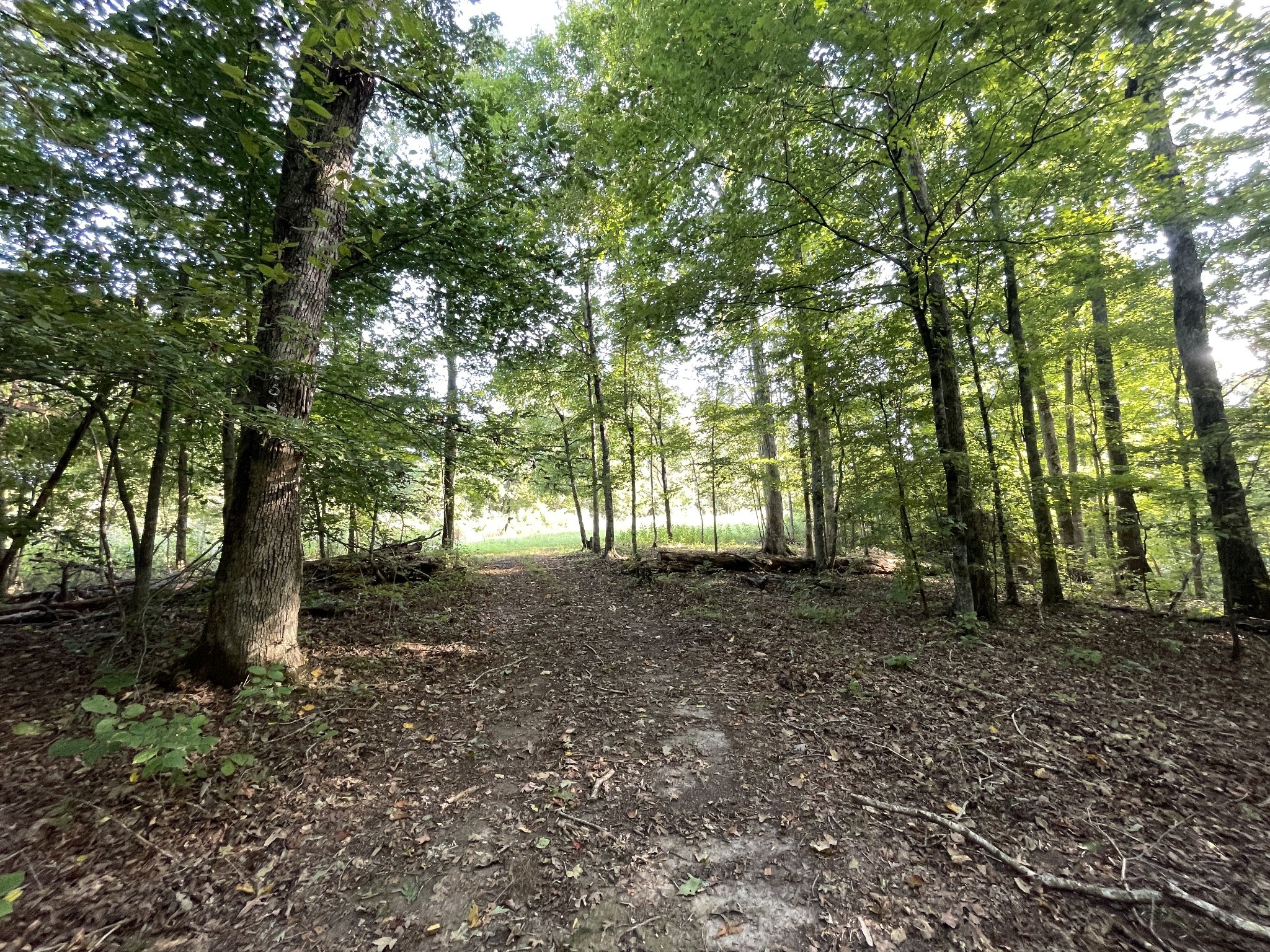 0 Waters Road Centerville TN 37033