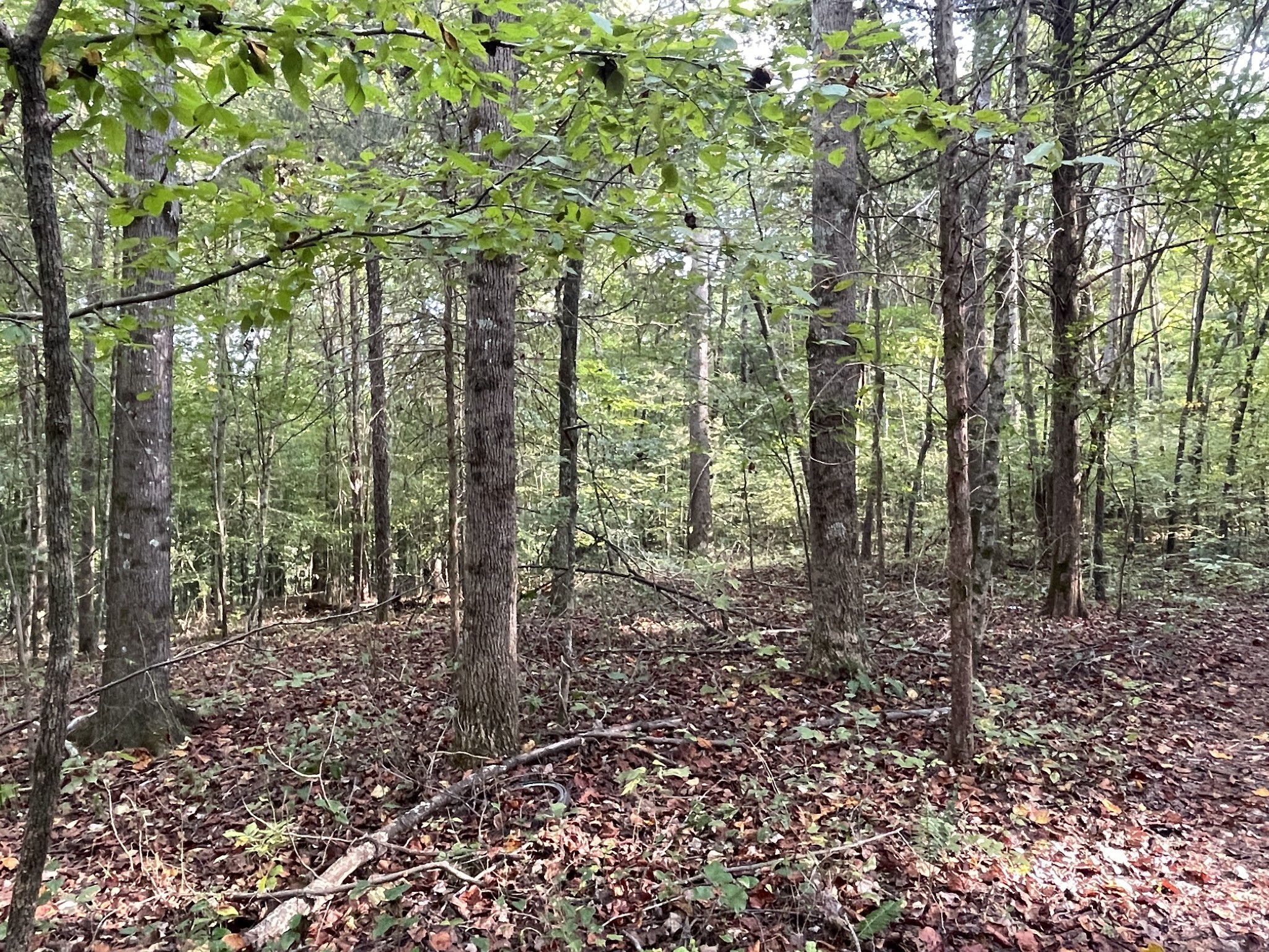 0 Waters Road Centerville TN 37033