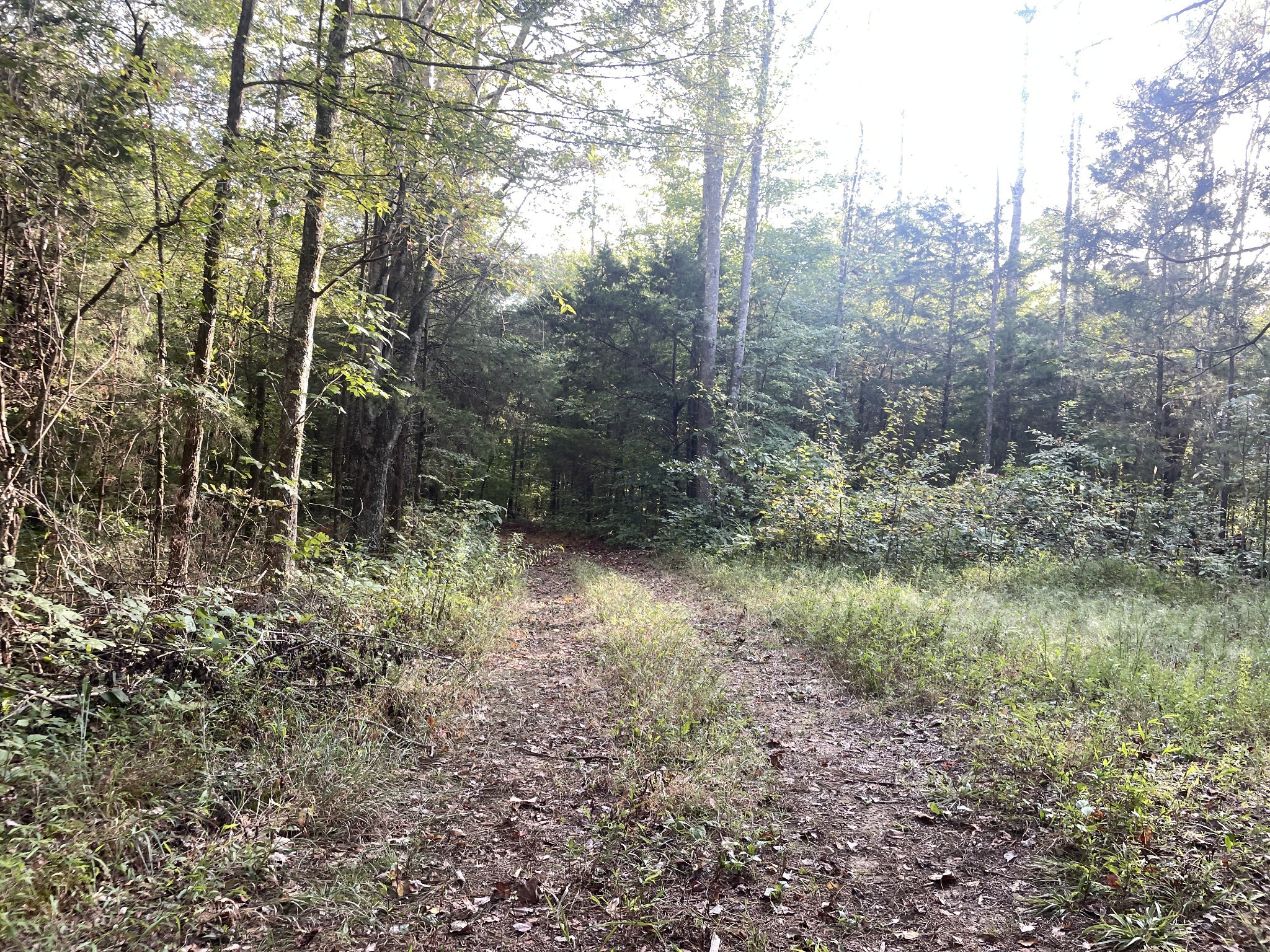 0 Waters Road Centerville TN 37033