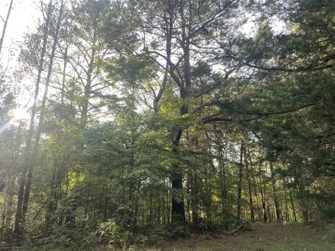 0 Waters Road Centerville TN 37033
