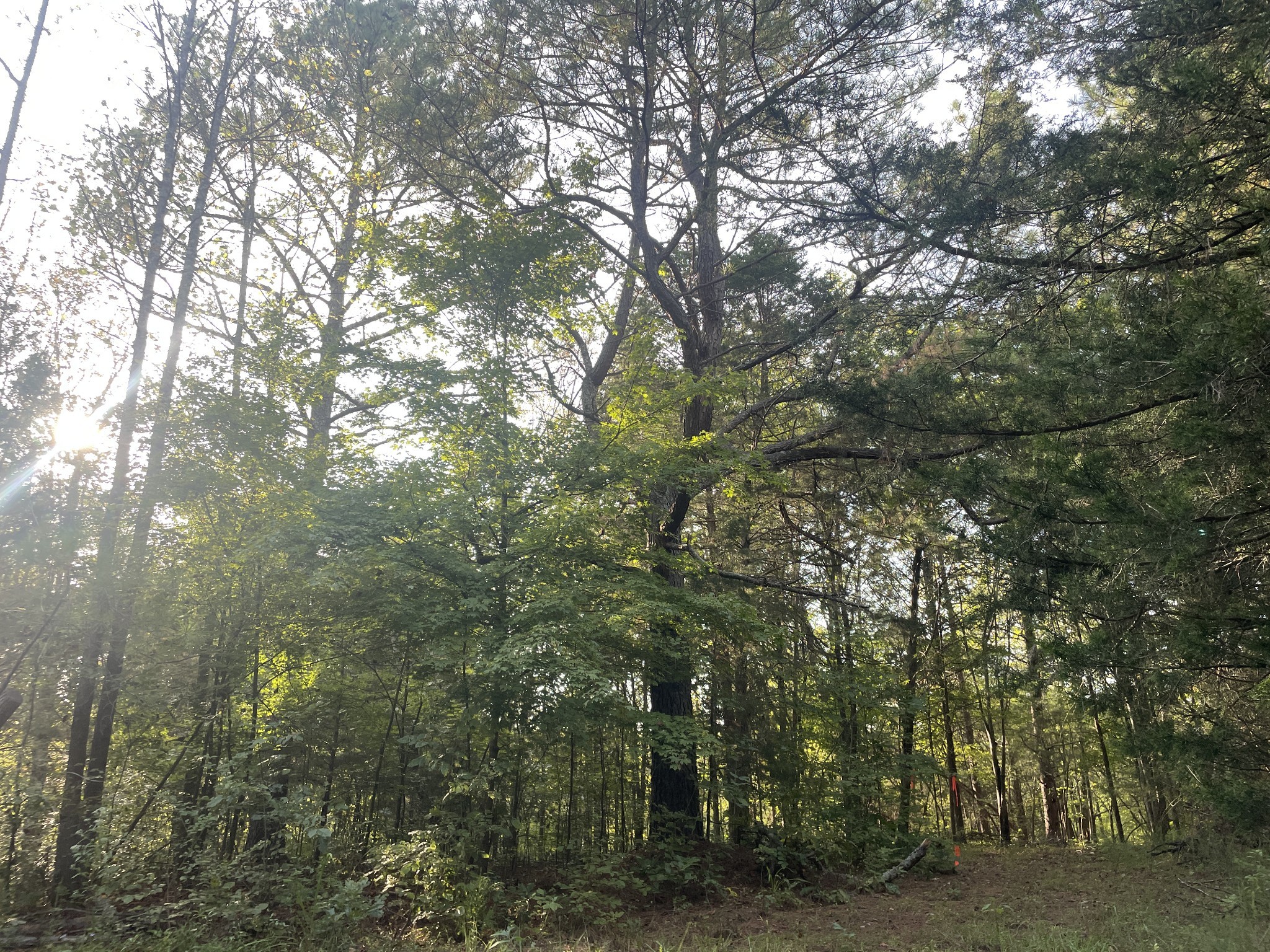 0 Waters Road Centerville TN 37033
