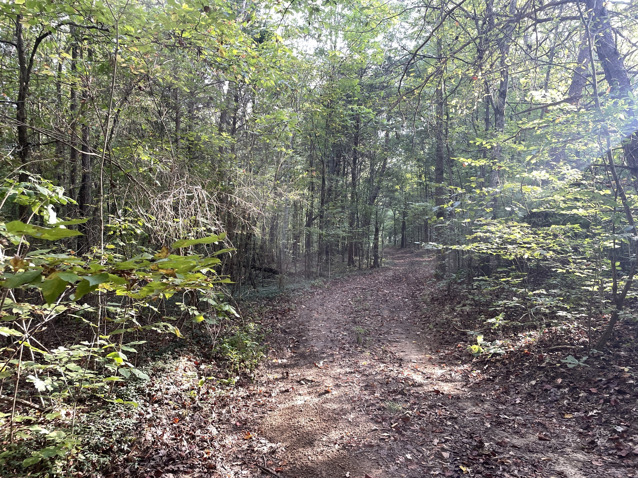 0 Waters Road Centerville TN 37033