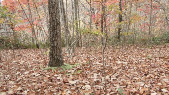 0 Drew Court Smithville TN 37166