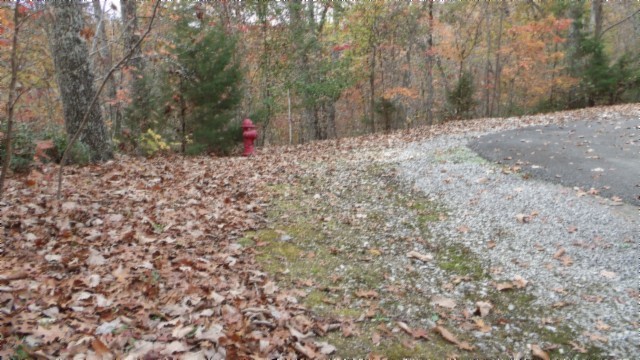 0 Drew Court Smithville TN 37166