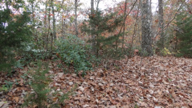 0 Drew Court Smithville TN 37166