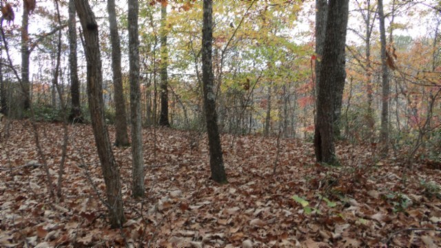 0 Drew Court Smithville TN 37166