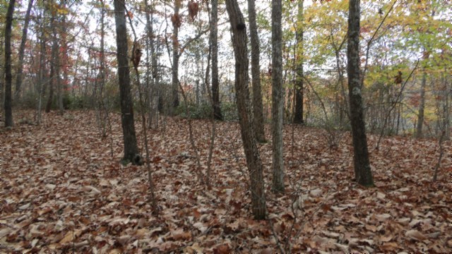 0 Drew Court Smithville TN 37166