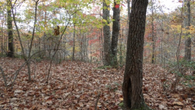 0 Drew Court Smithville TN 37166