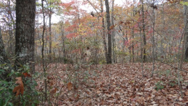 0 Drew Court Smithville TN 37166