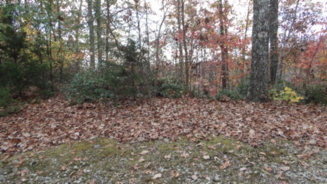 0 Drew Court Smithville TN 37166