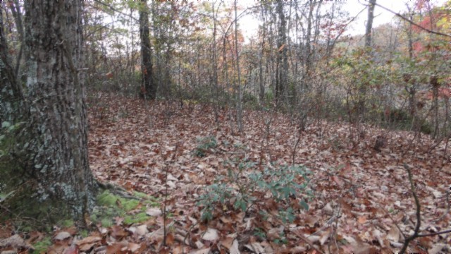 0 Drew Court Smithville TN 37166