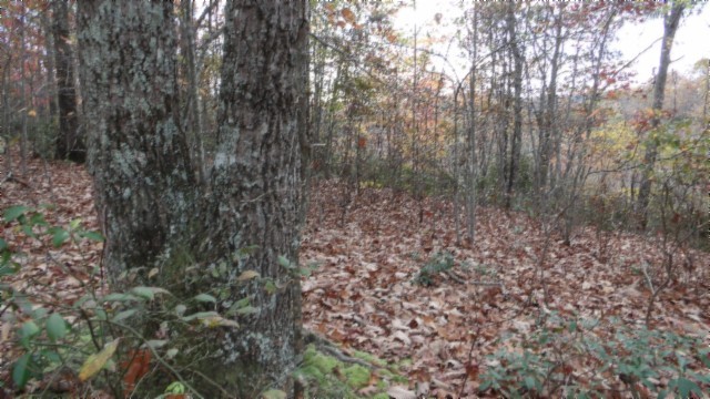 0 Drew Court Smithville TN 37166