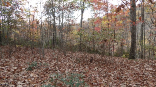 0 Drew Court Smithville TN 37166