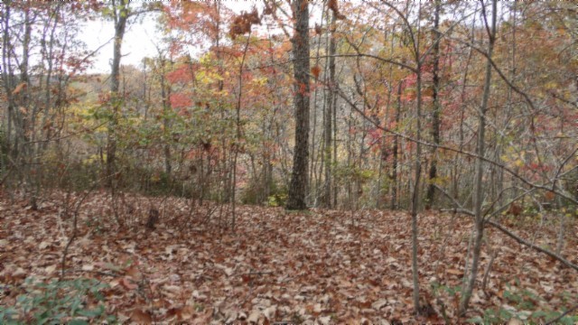 0 Drew Court Smithville TN 37166