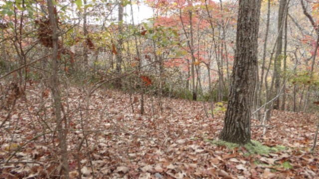 0 Drew Court Smithville TN 37166