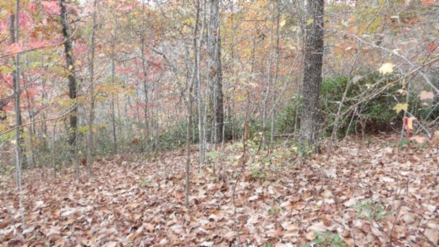 0 Drew Court Smithville TN 37166