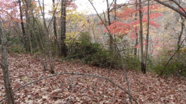 0 Drew Court Smithville TN 37166