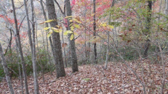 0 Drew Court Smithville TN 37166