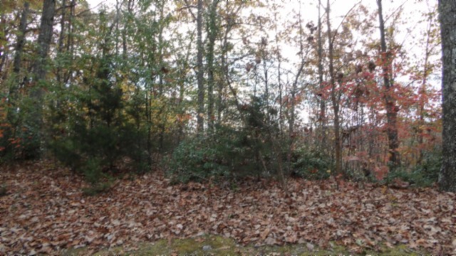 0 Drew Court Smithville TN 37166