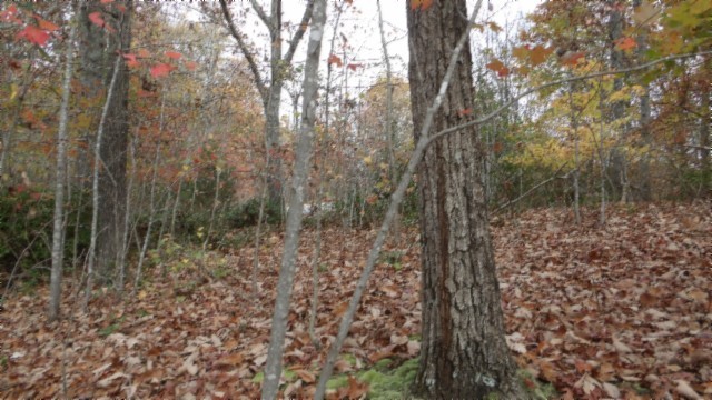 0 Drew Court Smithville TN 37166