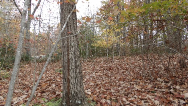 0 Drew Court Smithville TN 37166
