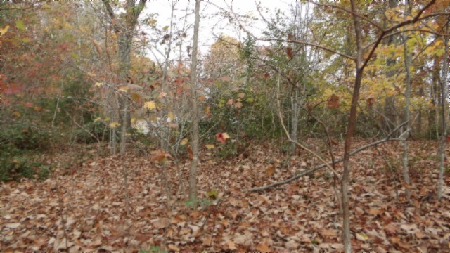 0 Drew Court Smithville TN 37166