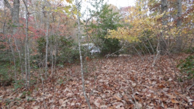 0 Drew Court Smithville TN 37166