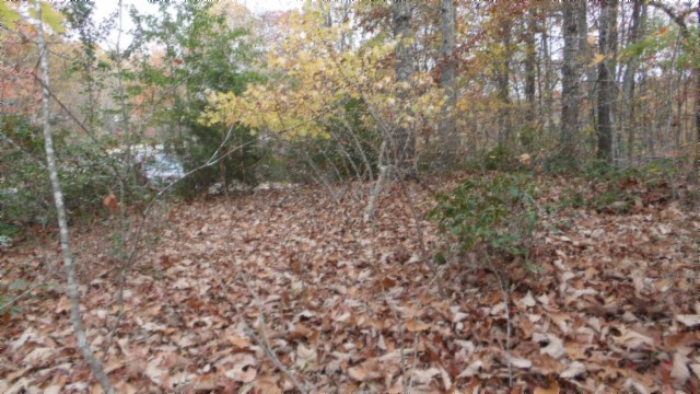 0 Drew Court Smithville TN 37166