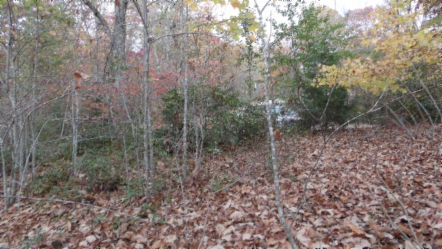 0 Drew Court Smithville TN 37166