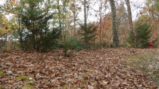 0 Drew Court Smithville TN 37166