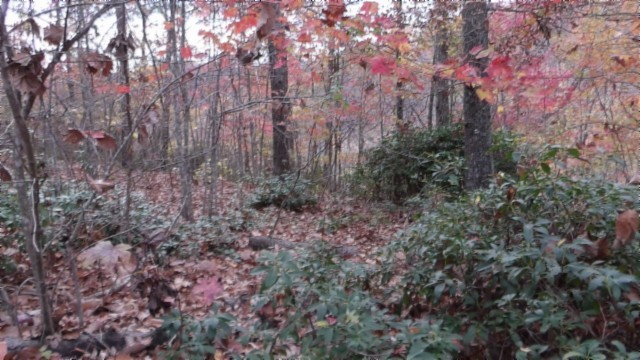 0 Drew Court Smithville TN 37166