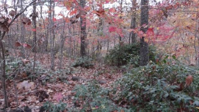 0 Drew Court Smithville TN 37166