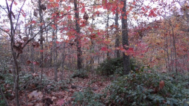 0 Drew Court Smithville TN 37166
